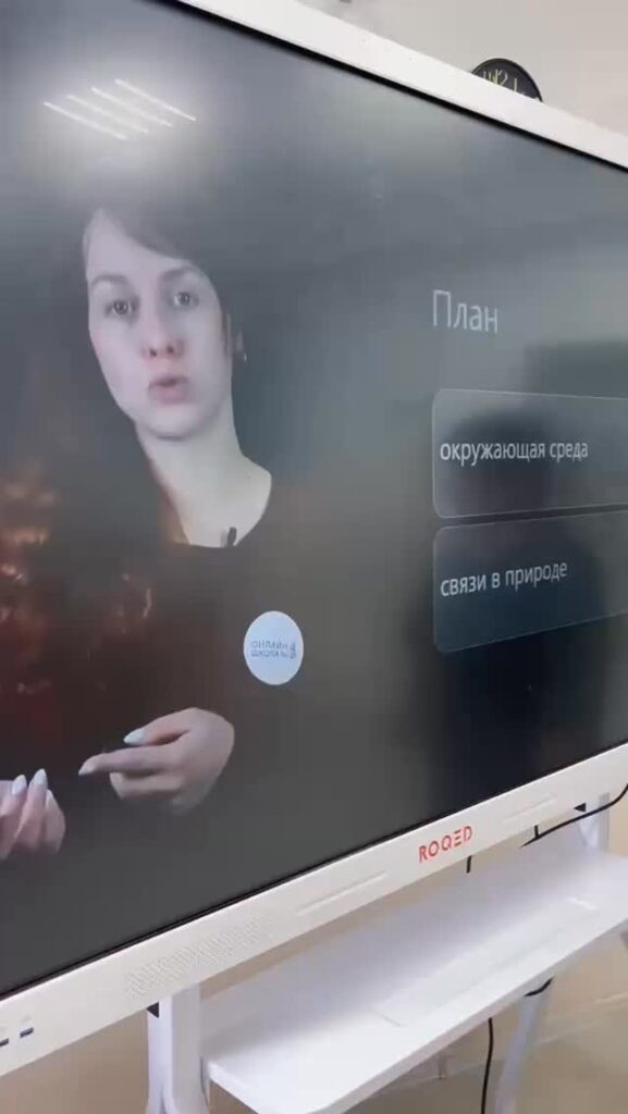 Классный час 3 «В» класс на тему «Загрязнение окружающей среды»&hellip;